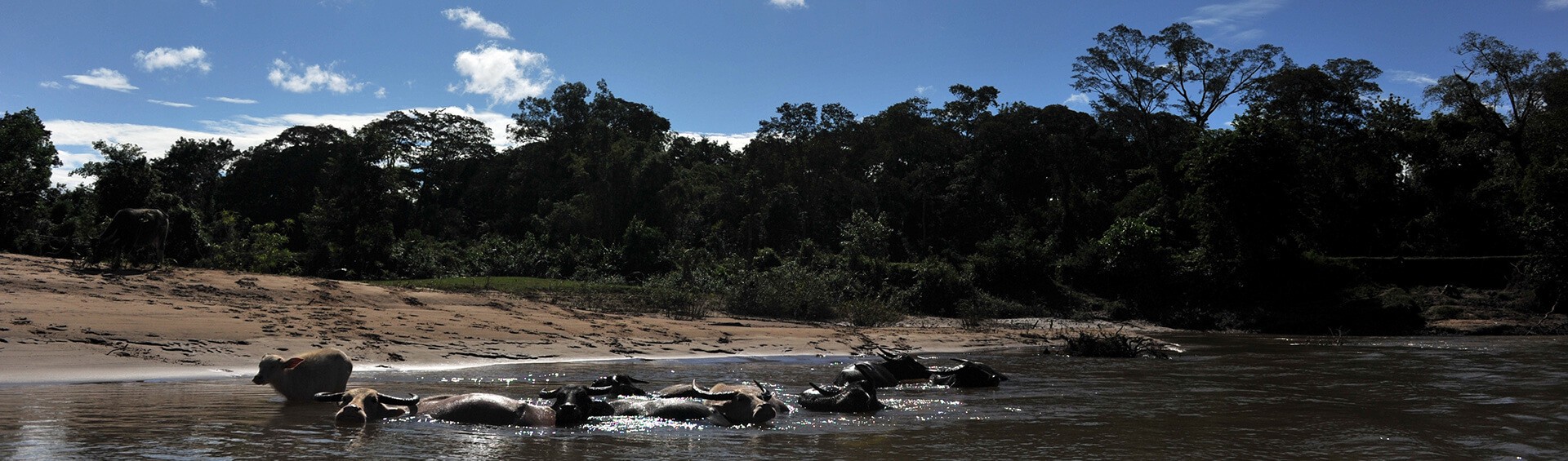 Ratanakiri, Une Destination Nommée Le Far-West Khmer