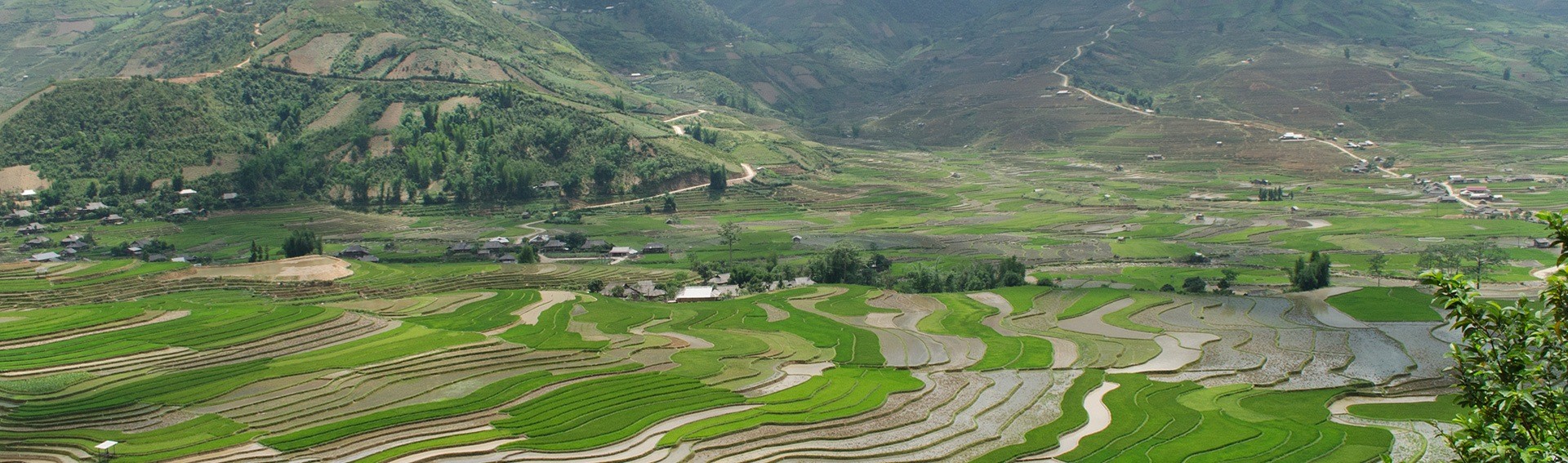 Ou Visiter Les Rizieres En Terrasse Au Vietnam Amica Travel